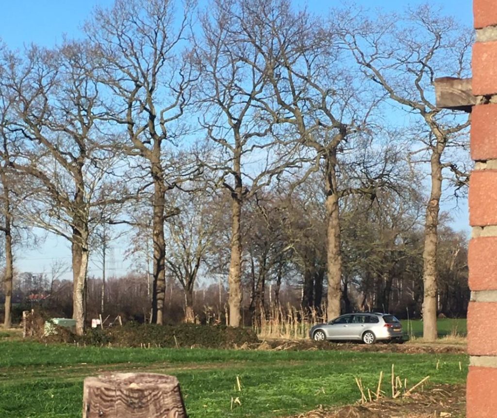 clubzondergrenzen