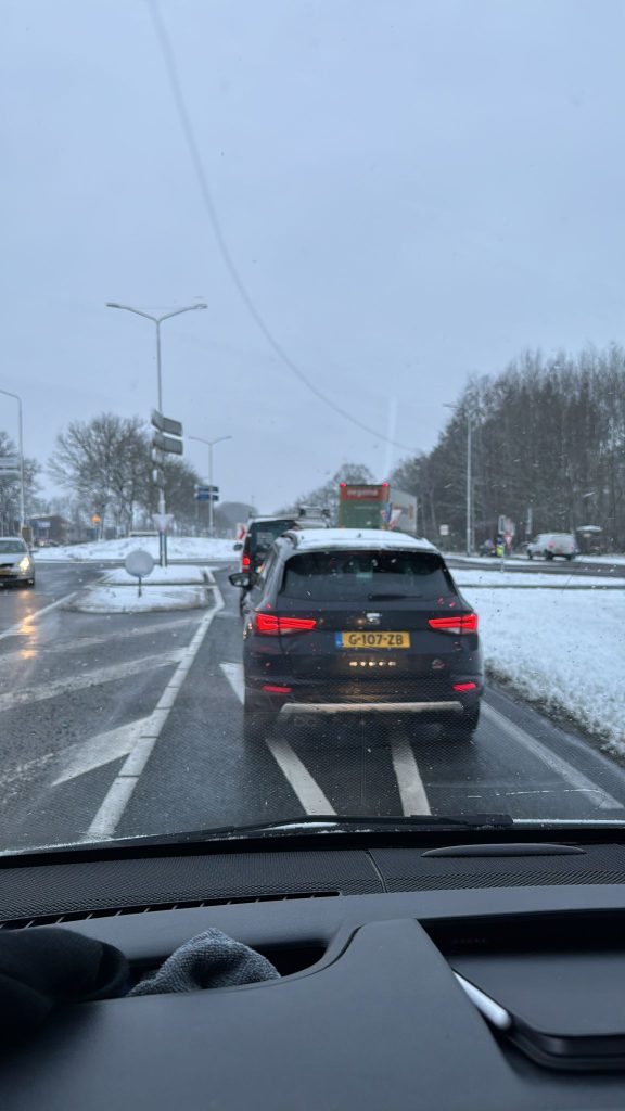 veldmmuis